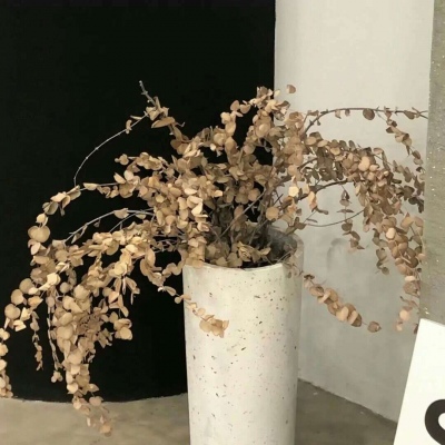 庆阳福瑞交流群